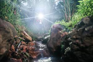 BIB: 
                            <button type="button" onclick="openModal(26418752)" class="btn btn-primary btn-sm float-right btn-popup" data-toggle="modal" data-target=".modal-high-quality">
                        <i class="fas fa-shopping-cart"></i> Add to Cart
                    </button>
                                            <button type="button" onclick="isThisMe(26418752, true)" class="btn btn-success btn-sm float-right btn-popup btn-isme hidden" data-toggle="tooltip" data-placement="bottom" title="นี่คือรูปของคุณใช่ไหม คลิกที่นี่เพื่อเอาเข้าอัลบั้ม">
                        <i class="fas fa-plus"></i> Add to album
                    </button>
                    <button type="button" onclick="isThisMe(26418752, false)" class="btn btn-warning btn-sm float-right btn-popup btn-isnotme hidden">
                        <i class="fas fa-ban"></i> Remove from album
                    </button>